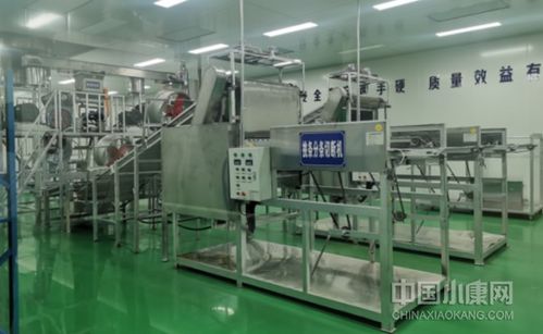 津甘協作花 綻放紅土地 環縣電子商務產業園巡禮